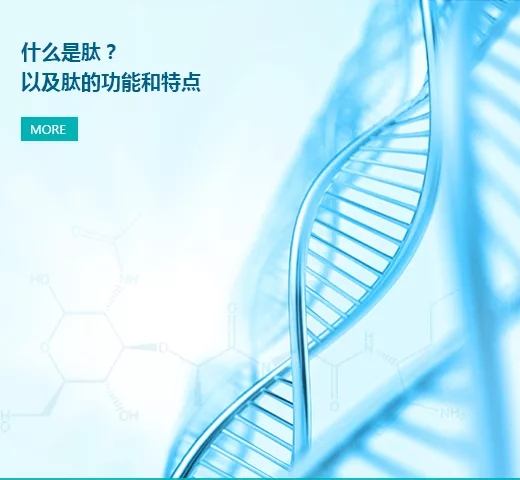 什么是肽？以及肽的功能和特點(diǎn)